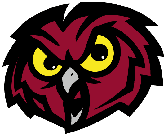Temple Owls 1996-Pres Alternate Logo iron on transfers for clothing